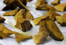 Obati Penyakit Cacar dan Rematik dengan Akar Kuning