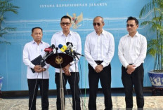 PLN Lapor Prabowo Soal Listrik Jawa