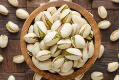 5 Alasan Ini Membuat Kacang-Kacang Cocok untuk Diet