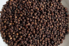 Raja Rempah dengan Segudang Manfaat: Lada Hitam dan Putih untuk Kesehatan Tubuh
