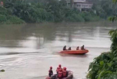 Tepeleset Saat Bermain di Pinggir Sungai, Bocah 3,5 Terbawa Arus