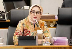 Perlu Dukung Modernisasi Penggilingan Beras   