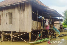 BPBD OKU Bantu Evakuasi Korban Banjir di Muarajaya