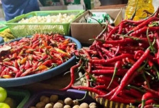  Harga Pangan 14 Juni 2025 : Bawang Merah dan Cabai Turun, Beras Premium Naik Tipis !
