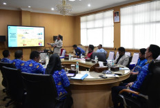 Kolaborasi Pemkab OKI dan PLN untuk Listrik Handal dan Aman