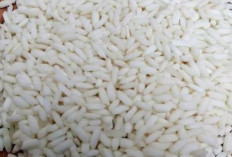Beras Ketan Ternyata Dapat Menjaga Kesehatan Kulit dan Tulang