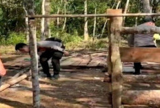Polres OKU Selatan Bongkar Arena Sabung Ayam Ilegal, Warga Apresiasi Tindakan Tegas Polisi