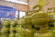 Puskepi Soroti Ketidakjelasan Regulasi : Kebijakan Baru LPG 3 Kg Tak Jamin Beban Subsidi Berkurang  