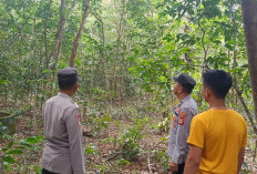 Cegah Karhutla di Musim Kemarau, Polsek Tanjung Batu Gencarkan Patroli