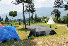Seruni Camping Ground: Destinasi Camping Keluarga yang Asri dan Nyaman di Jantung Puncak