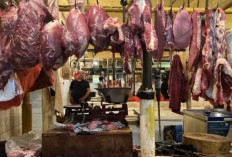 Harga Pangan 8 Juni 2025: Beras Masih Stabil Rp15.694, Daging Sapi Rp134.775 per Kilogram ! 