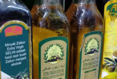 Minyak Zaitun: Minyak Sehat Serbaguna dengan Segudang Manfaat