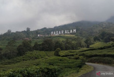 BPBD Imbau Pendaki tak Mendekati Kawah Dempo Radius Satu Kilometer