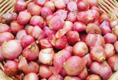 Ragam Bumbu Dapur Andalan yang Membuat Masakan Indonesia Semakin Lezat