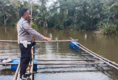 Cek Perkembangan Lahan Desa P2B