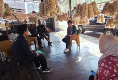 Monitoring Pendampingan, Dorong UMKM Naik Kelas