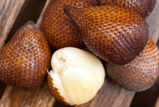 Salak: Buah Eksotis Kaya Manfaat yang Semakin Diminati Masyarakat