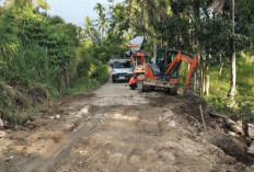Pemkab OKU Selatan Tuntaskan Perbaikan Jalan Longsor di Rantau Nipis, Akses Warga Kembali Normal