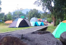 Banyak yang Terjebak, Ini 7 Kesalahan Pemula Saat Camping yang Harus Dihindari
