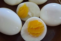 Manfaat Telur Rebus untuk Kesehatan: Sumber Protein Tinggi yang Mudah Dikonsumsi Setiap Hari