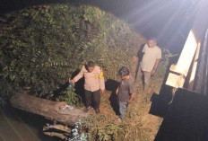 Terjun untuk Mandi, Hilang Ditelan Arus: Pemuda 20 Tahun Tenggelam di Sungai Batanghari Leko