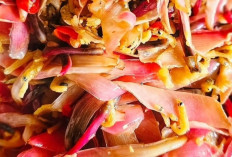 Kecombrang, Rempah Tradisional Indonesia dengan Aroma Unik dan Banyak Manfaat