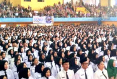 Belasan PPPK Paruh Waktu di OKU Batal Diangkat