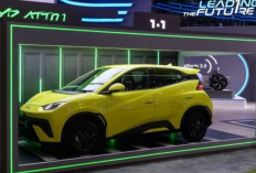 BYD Bikin Gempar, Siapkan Atto 1 Versi Lebih Murah, Mobil Listrik Rp200 Jutaan Makin Panas