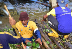 Pemkot Palembang Gelar Aksi Bersih Sungai Musi Peringati Hari Bumi 2026