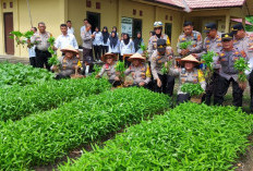 Polres Prabumulih Panen Sayuran di Halaman Rumah Dinas