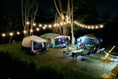Ikuti 7 Tips Ini! Jika Aktivitas Camping Ground Kalian Mau Makin Menyenangkan dan Aman