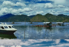 Danau Laut Tawar,  Danau atau Laut ? Keajaiban Alam dan Budaya Lokal yang Mengagumkan