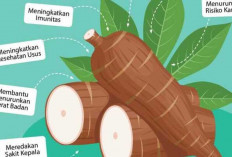 Manfaat Ubi Kayu : Nutrisi, Kesehatan, dan Kelezatan yang Tak Terbantahkan