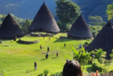 Keunikan Desa  Wae Rebo yang Tersembunyi di Flores  NTT, Desa Terindah di Indonesia !