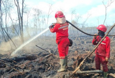 Manggala Agni Fokus Tuntaskan Karhutla di OKI