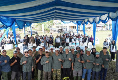 Pemda Kepahiang bersama PLN Gelar Hiking dan Eksplorasi Geothermal WKP Kepahiang