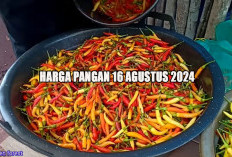 Harga Pangan 16 Agustus 2024 : Harga Cabai Rawit Merah Makin Pedas Rp74.470 per Kilogram !