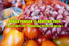 Harga Pangan 15 Agustus 2024 : Masih Fluktuatif, Bawang Merah Naik Tipis, Cabai Rawit Merah Turun !