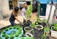Olah Ketahanan Pangan Berbasis Rumah Tangga