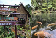 Green Paradise Pagar Alam, Destinasi Wisata Alam yang Menawarkan Keindahan dan Kesejukan Pegunungan