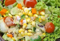 Salad Sayur : Nutrisi Segar yang Tak Terpisahkan dari Gaya Hidup Sehat