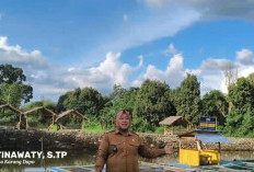 Desa Karang Dapo Akan Adakan Festival Bujangan Kadabe II
