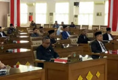 Penundaan Pengangkatan CPNS dan PPPK Hingga 2026 Picu Kekhawatiran