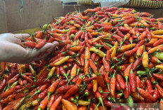 Harga Pangan 21 April 2025 : Bawang Merah Turun ke Rp43.148, Cabai Rawit Merah Rp80.379 per Kilogram !