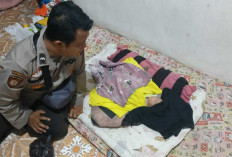 Heboh Penemuan Bayi Terlantar di Desa Talang Ipuh Banyuasin, Polisi Buru Pelaku