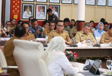 Banyuasin Jadi Andalan, Sumsel Targetkan 161.000 Ton Beras di 2025