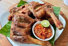 Bebek Goreng: Hidangan Lezat yang Selalu Menggoda Selera Favorit di Lidah Pecinta Kuliner Nusantara