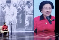 Megawati Minta Kader PDIP Bergerak Bersama Hadapi Pilkada 2024