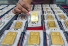 Update ! Harga Emas Antam 5 November 2024 : Masih Stagnan Selama Empat Hari, Rp1,539 Juta per Gram 