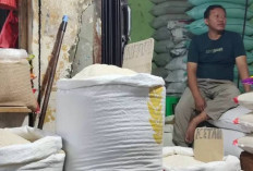 Harga Beras Medium di OKU Naik Rp1.000 Perkg